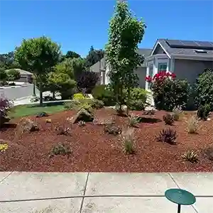 Landscape Maintenance