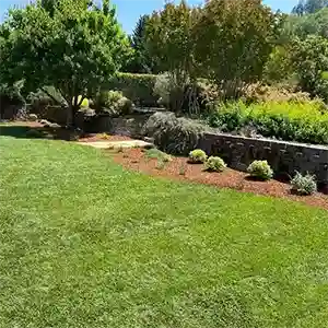 Landscape Maintenance