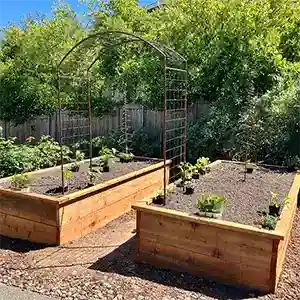 Landscape Maintenance