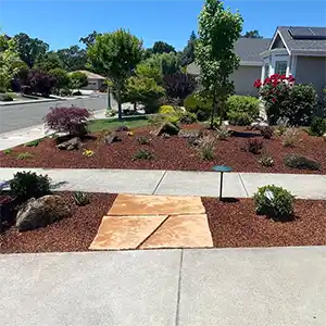 Landscape Maintenance