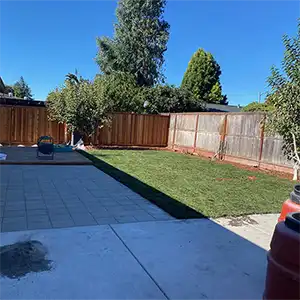 Landscape Maintenance