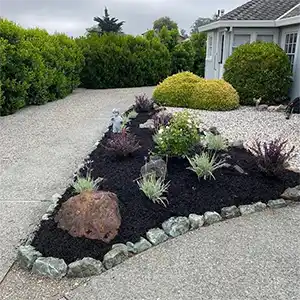 Landscape Maintenance