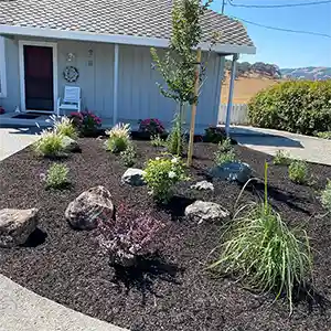 Landscape Maintenance