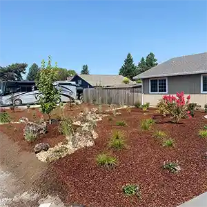 Landscape Maintenance