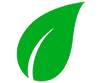 leaf icon