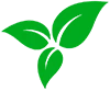 leaf icon